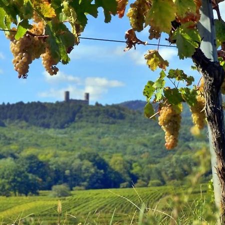 Appartement Cosy - Centre De Barr - Route Des Vins エクステリア 写真