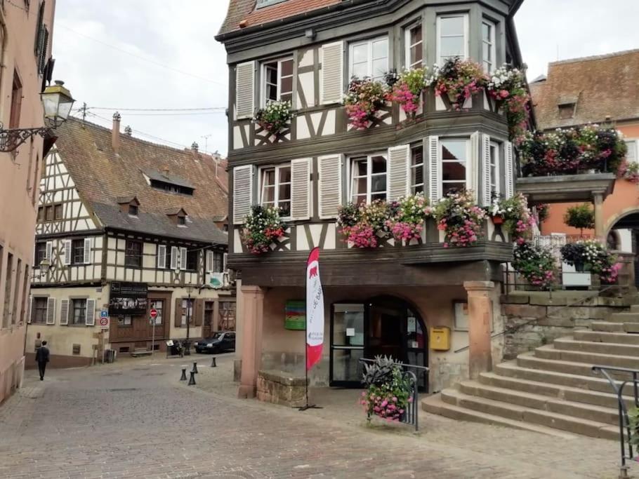 Appartement Cosy - Centre De Barr - Route Des Vins エクステリア 写真